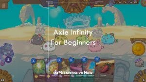 Axie Infinity Beginner Guide: tour of the platform