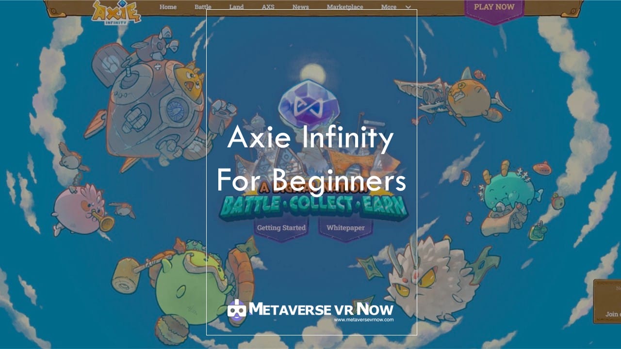 Axie Infinity Beginner Guide: characters