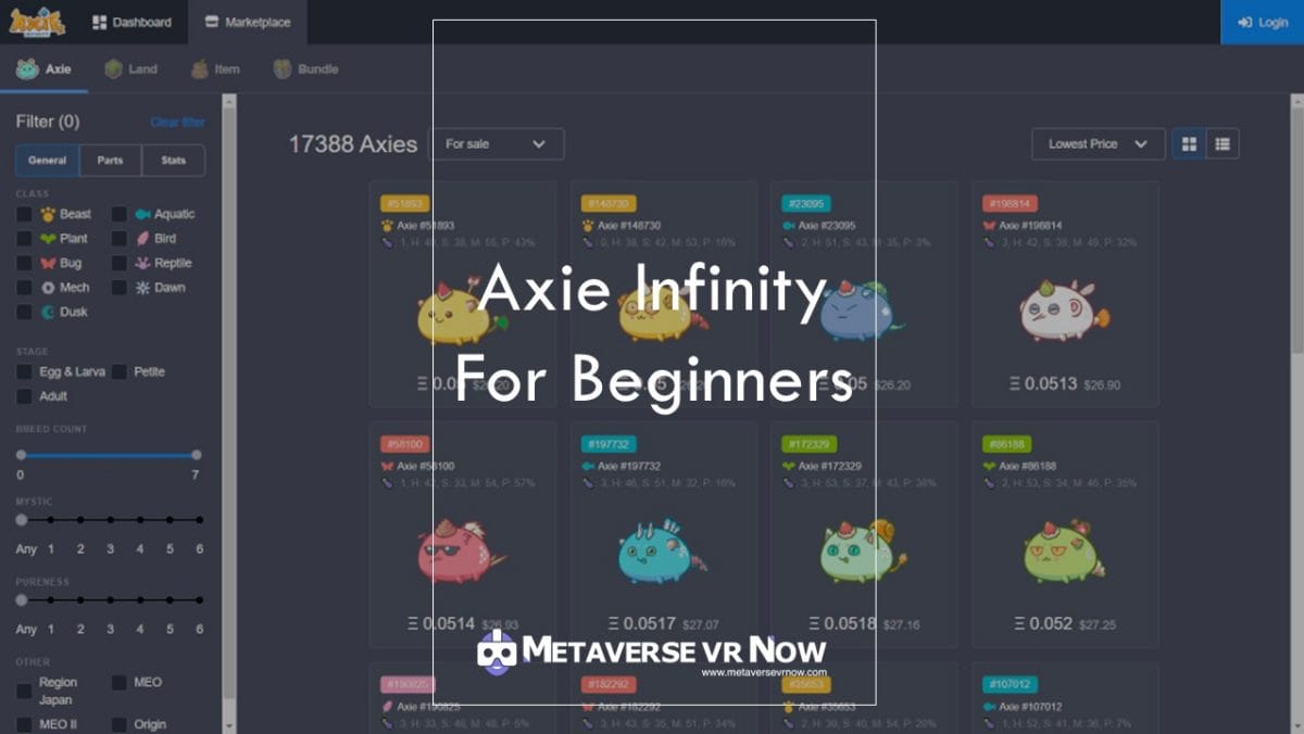 Axie Infinity Beginner Guide: main menu