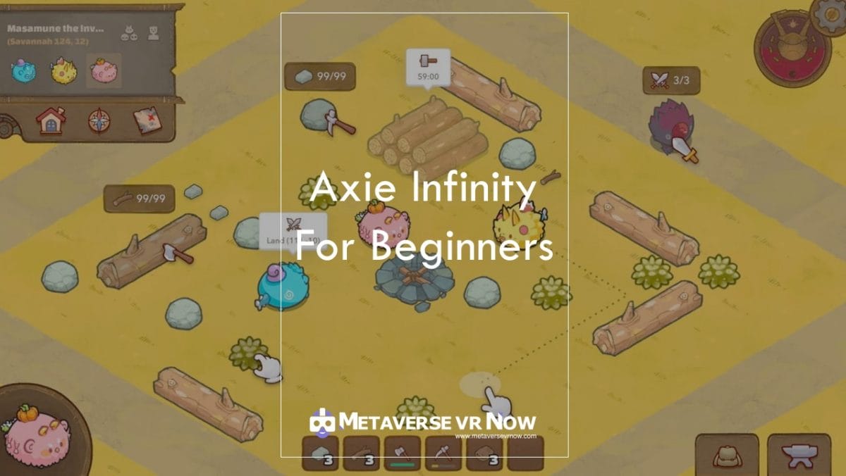 Axie Infinity Beginner Guide: Inside the game platform